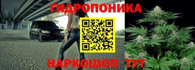 ГАЛЛЮЦИНОГЕННЫЕ ГРИБЫ Донской