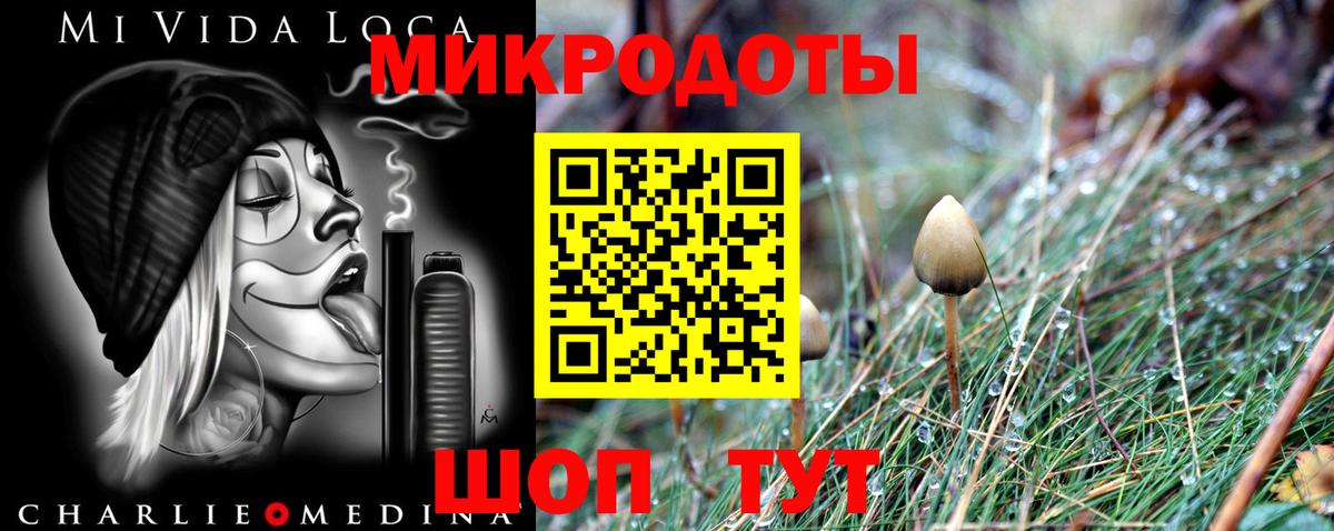где можно купить   Вход с VPN  Новоуральск  Псилоцибиновые грибы GOLDEN TEACHER  Псилоцибиновые грибы Magic Shrooms 